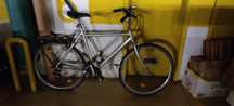 Bicicleta Pasteleira