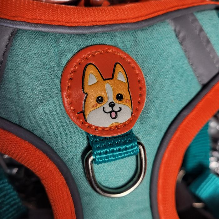 М'яка шлейка з повідцем для котів і маленьких собак