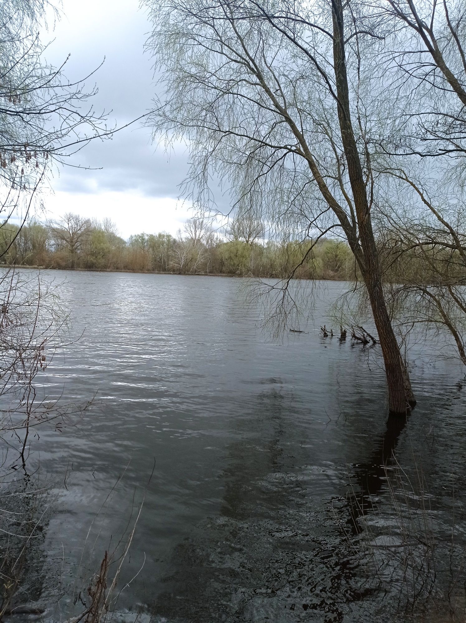 З РЕМОНТОМ будинок біля р Десна. Село Салтикова Дівиця. Всі ЗРУЧНОСТІ.