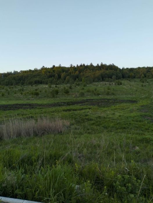 Продам земельну ділянку Львівська область пустомитівський район село к