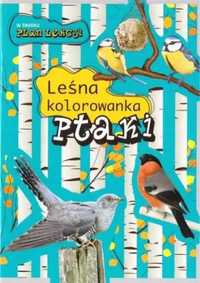 Leśna kolorowanka. Ptaki - Andżelika Bielańska, Eliza Goszczyńska