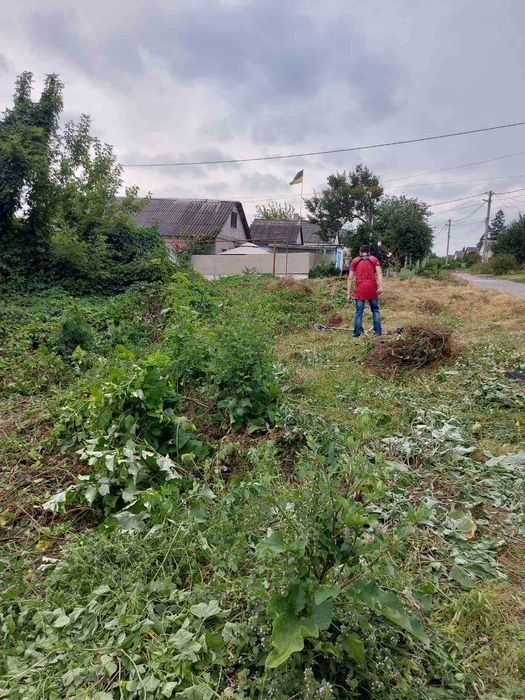 Прибирання  Розчищення ділянок територій Спилювання дерев Вивіз сміття