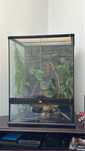 Terrario para reptil