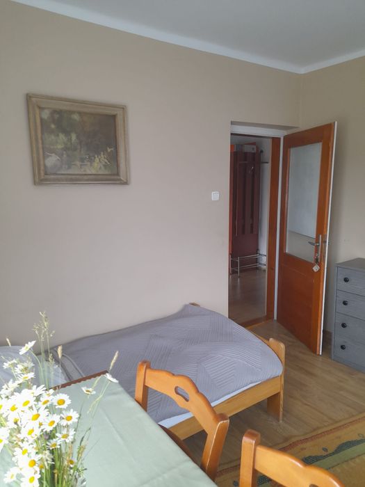 Pieniny noclegi Apartament 5cio osobowy z kuchnią
