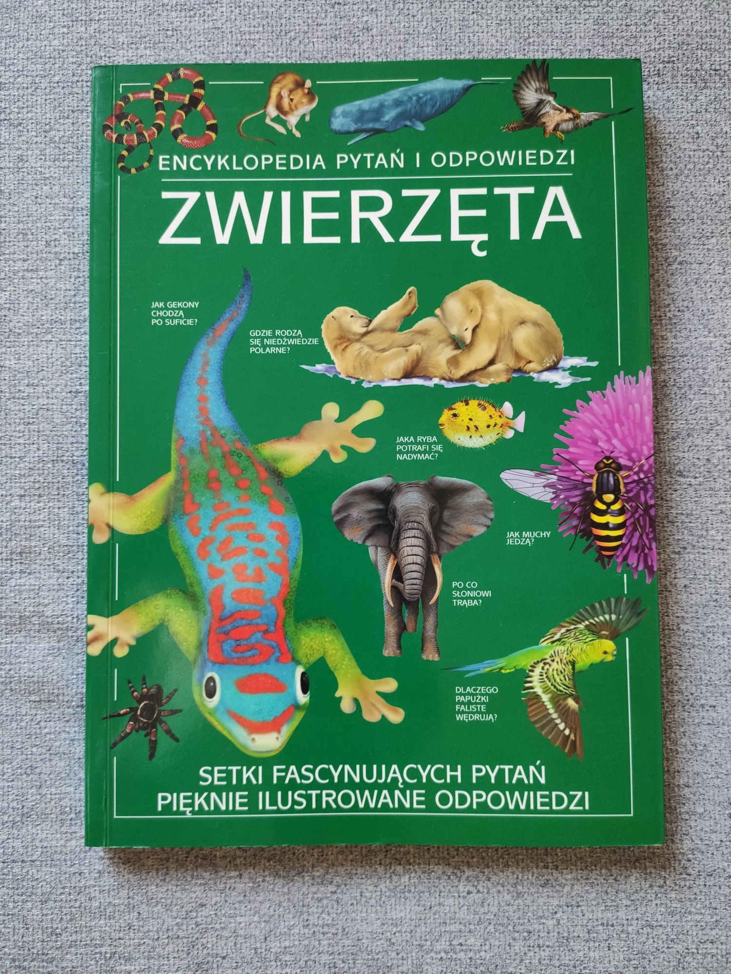 Encyklopedia pytań i odpowiedzi Zwierzęta / Anita Ganeri