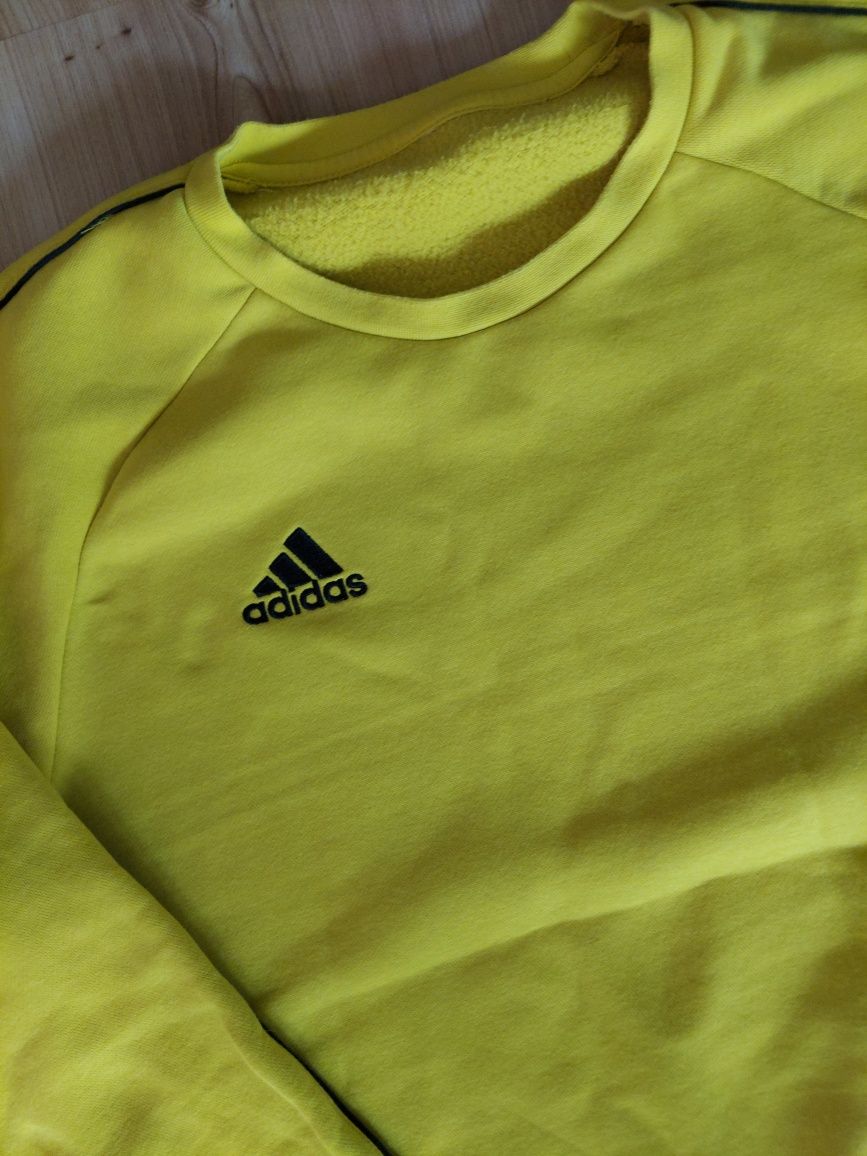 Żółty bluza adidas