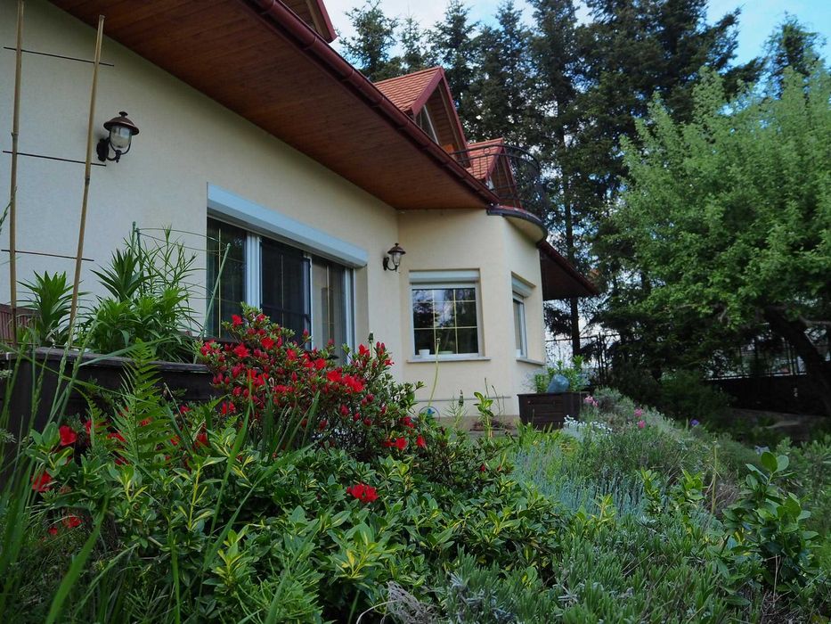 Dom na wynajem/A stylish house in the countryside for rent Glichów