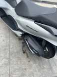 Hondapcx 125 impecavel