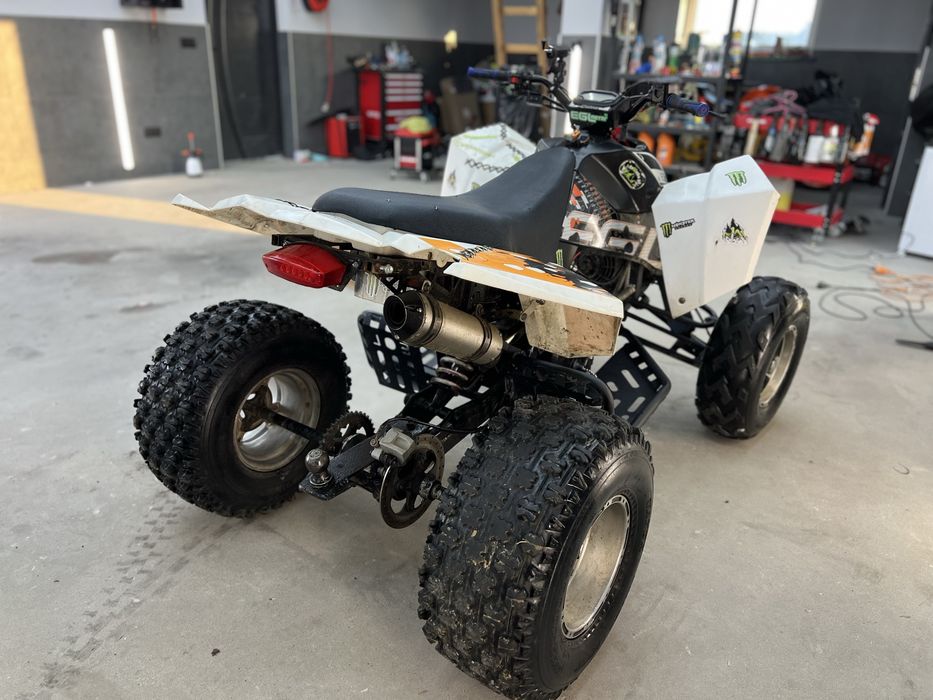 Quad Mad Max EGL 300 / manual, mocny!