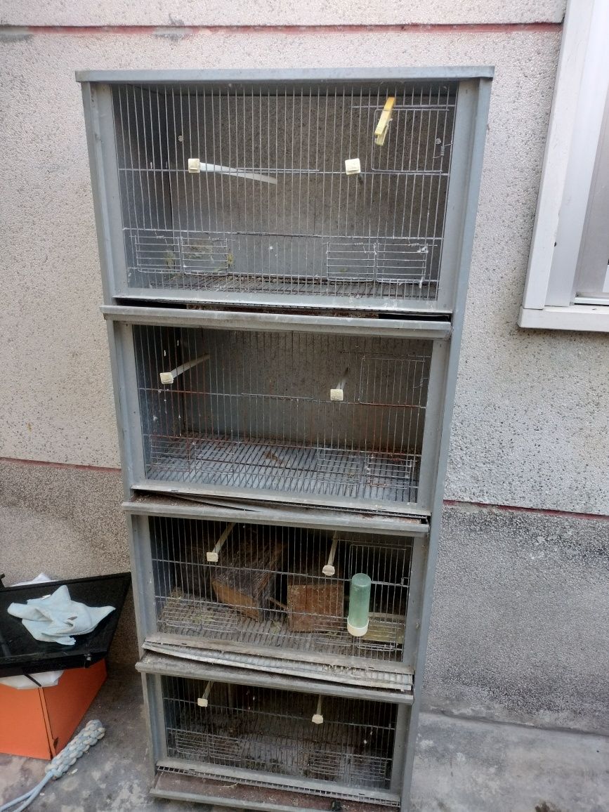 Viveiro para pássaros