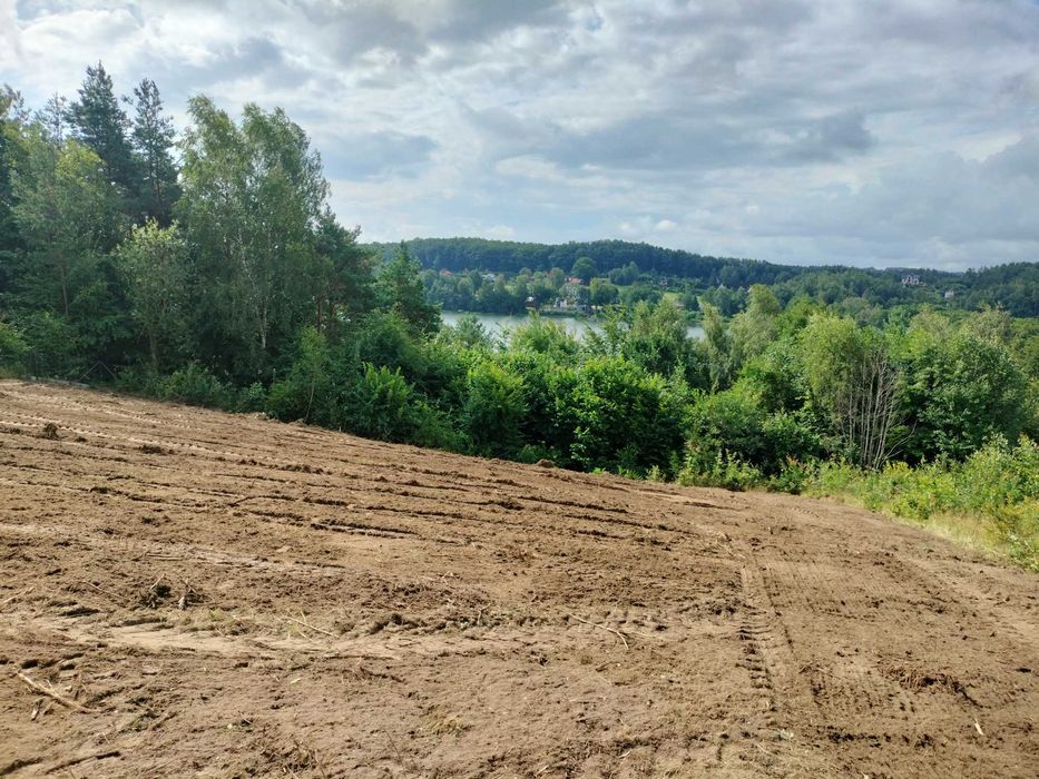Mulczowanie Karczowanie Działek Mulczerem Leśnym wycinka drzew