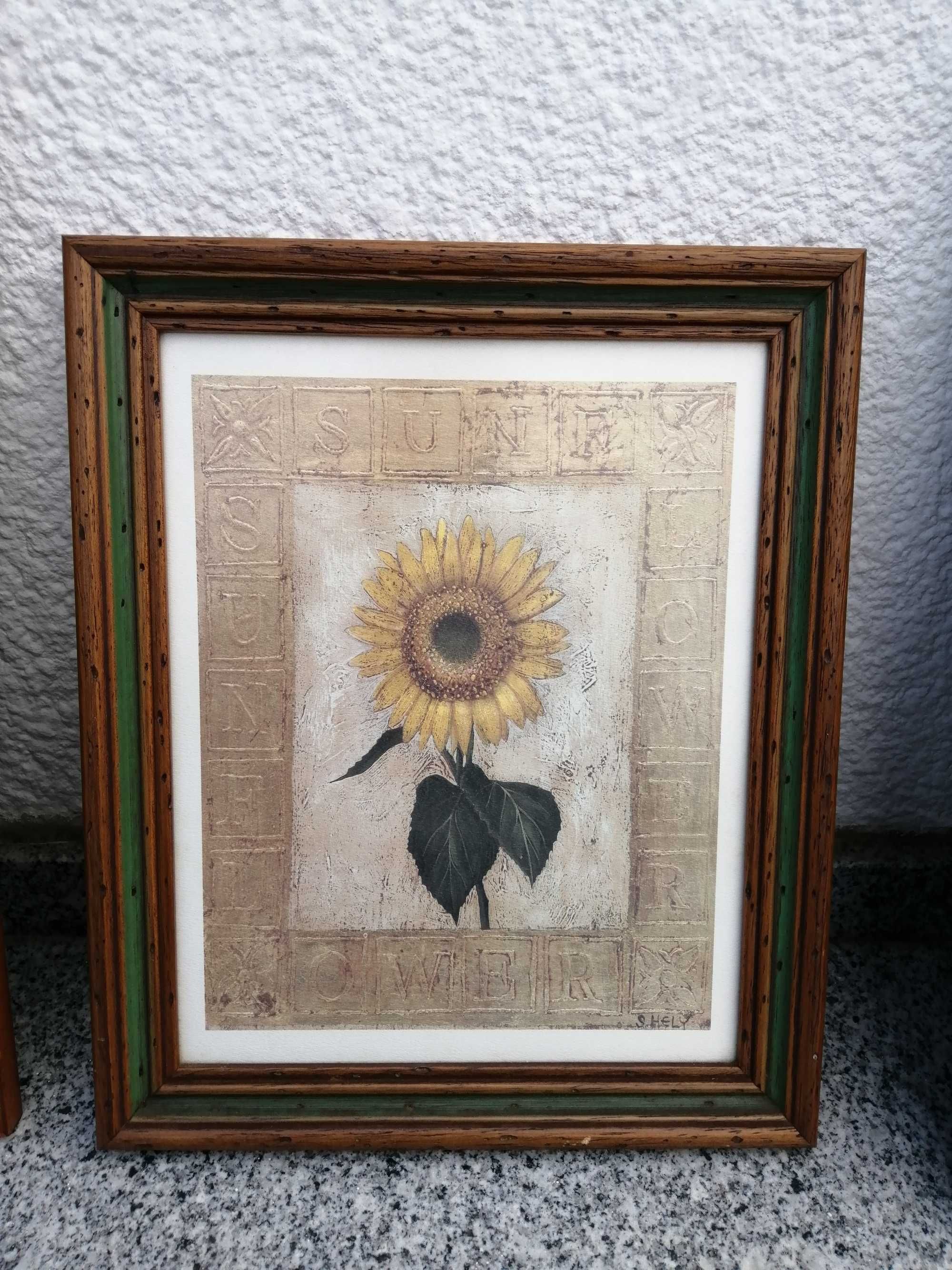 Quadros de parede