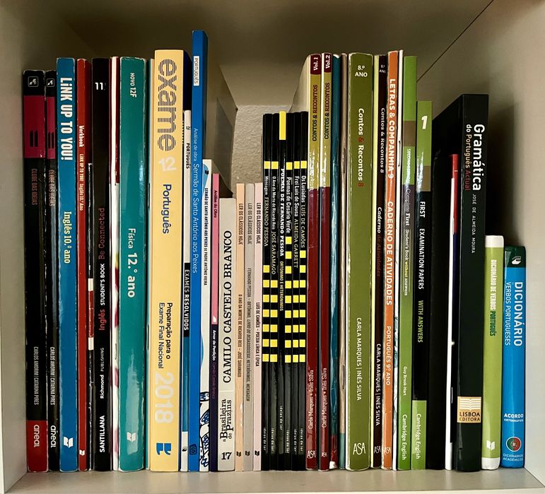 Livros de apoio, resumos, exames - Português 12.º ano