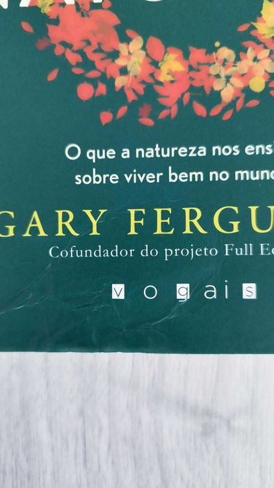Gary Ferguson - As Oito Grandes Lições da Natureza