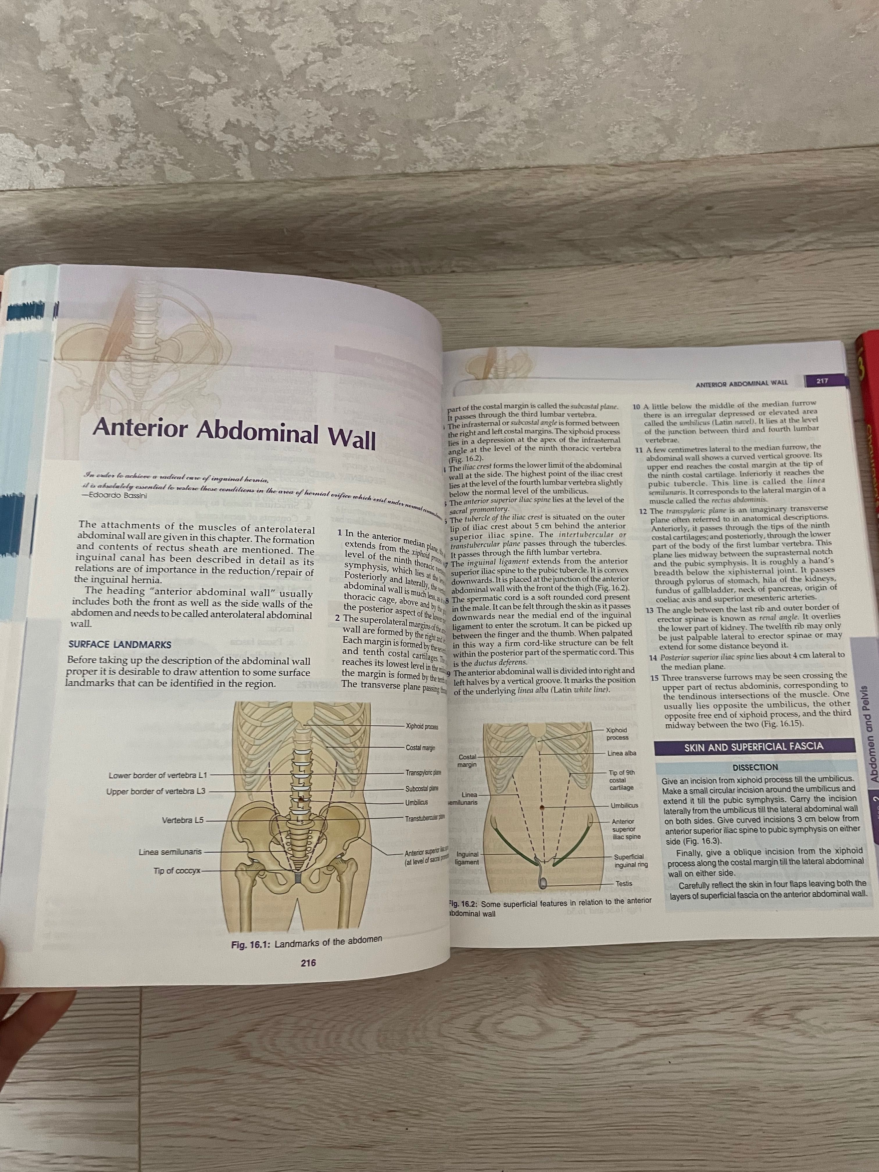 Анатомія 3 томи ,англійською мовою