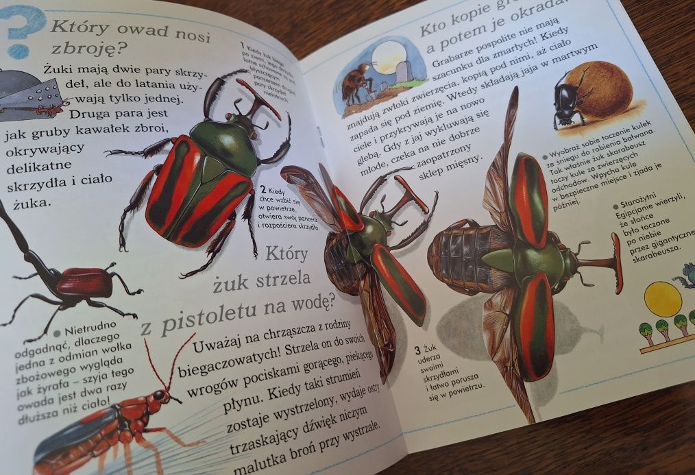 Ciekawe dlaczego Pająki tkają sieci i inne pytania na temat pajęczaków