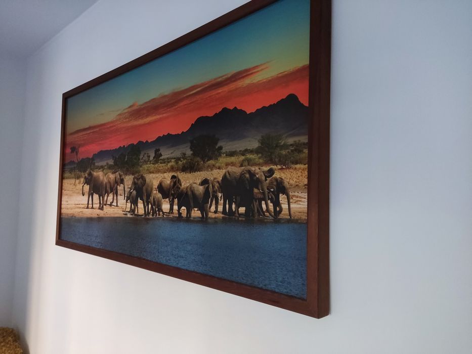 Piękny obraz Słonie nad wodą Duży 103x53 rama drewno