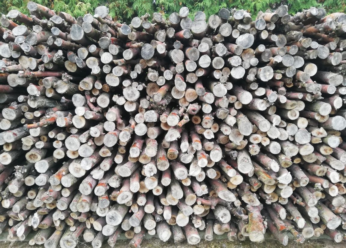 Drewno opałowe jabłoniowe - drobne