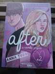After #2 - A novela gráfica