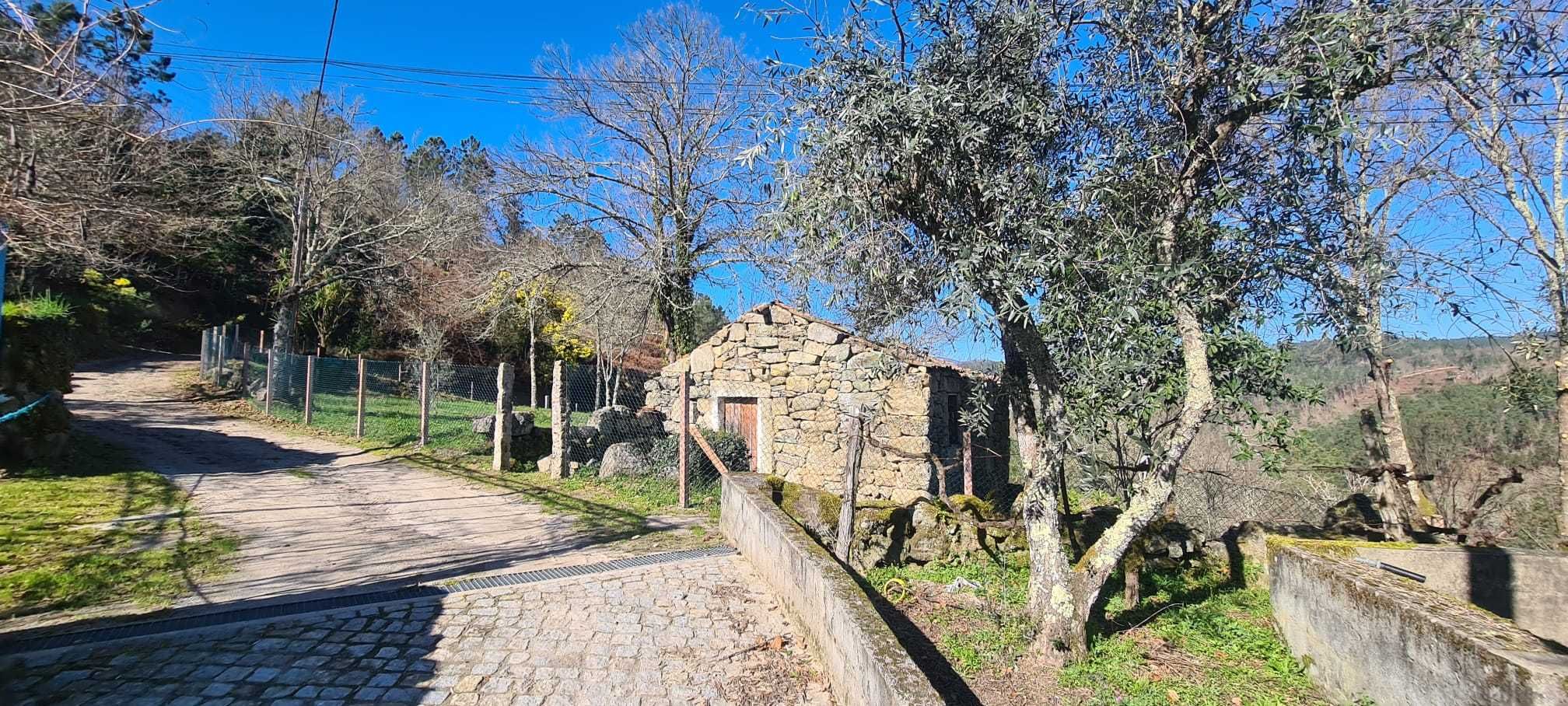 Quinta com 3.000 m2, com Ruínas em Pedra para Restaurar e Pomar