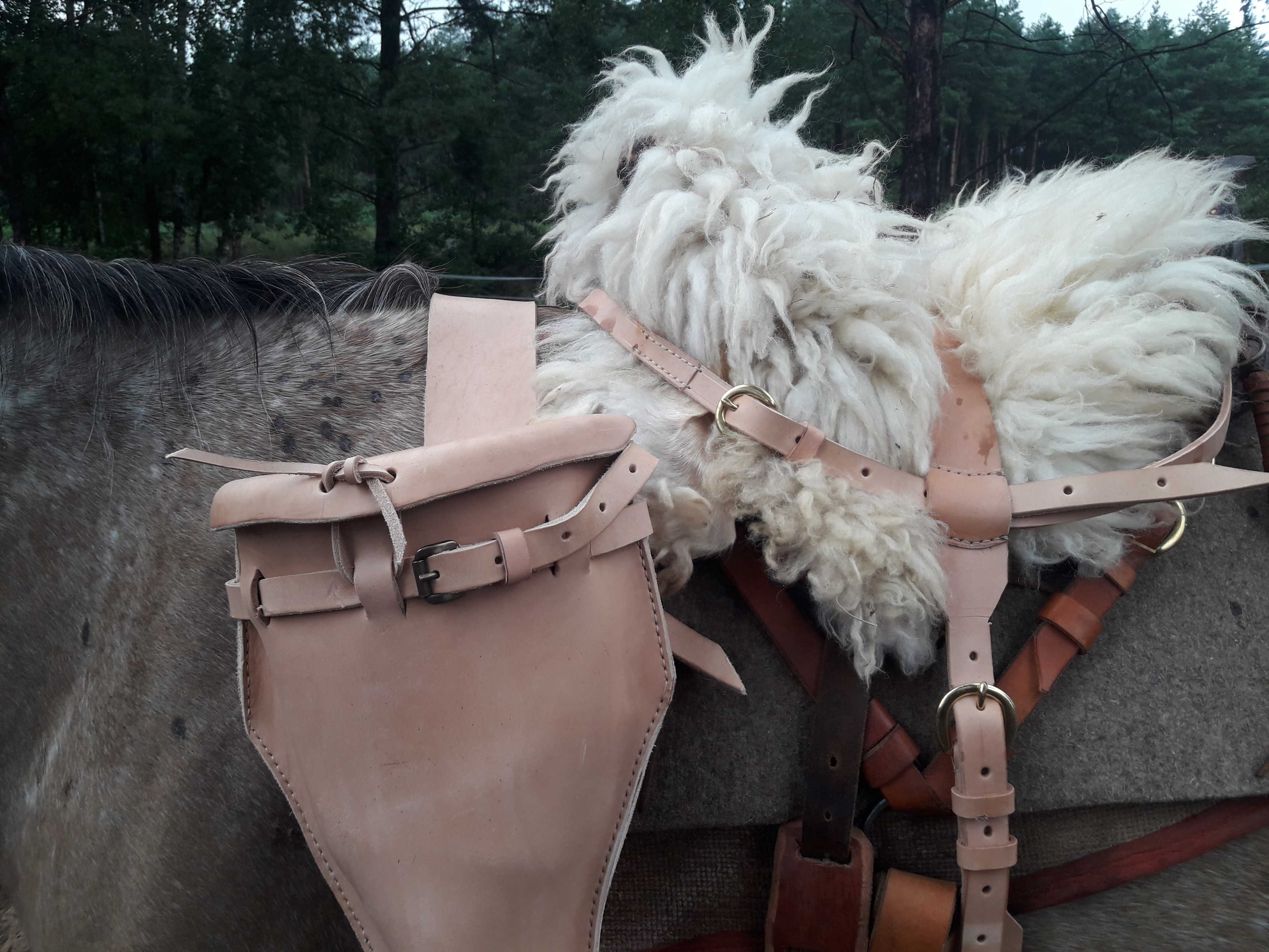 Ogłowie huzarskie, rząd kawaleryjski - napoleon, hussar bridle, saddle