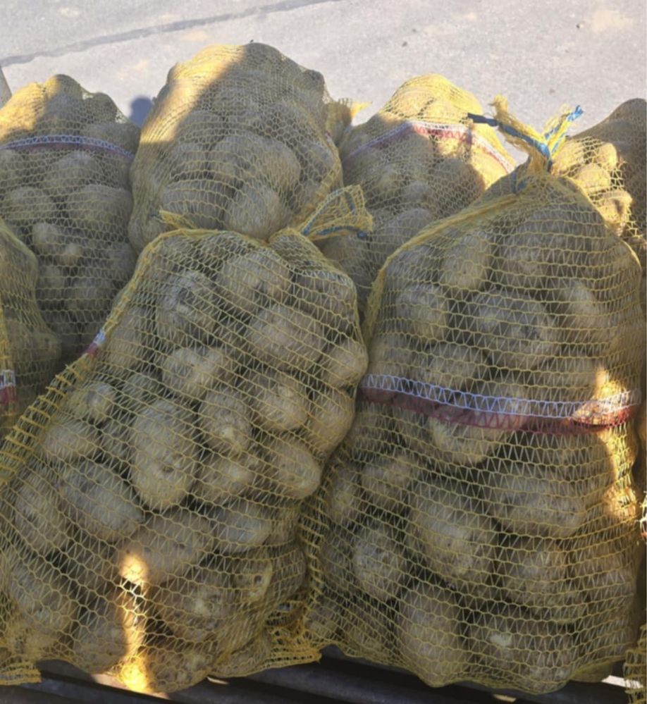 Młode ziemniaki z własnej uprawy 20 zl /15kg