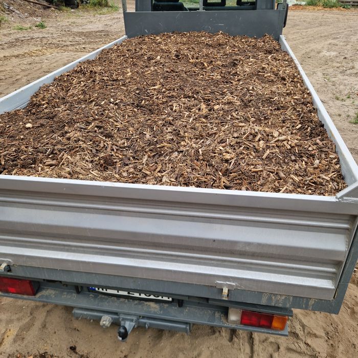 Zrębka brzoza sosna