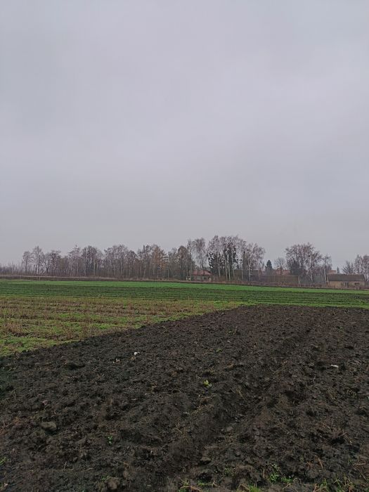 Земельна ділянка