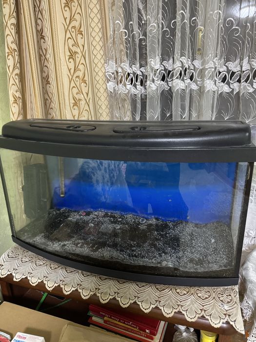Акваріум 160 літрів