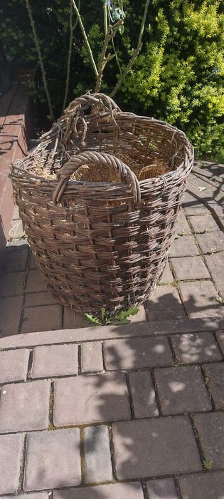 Gąsior dymion butla na wino duży