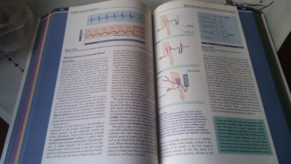 Physiology for Nursing Practice piękna anatomia dla pielęgniarek
