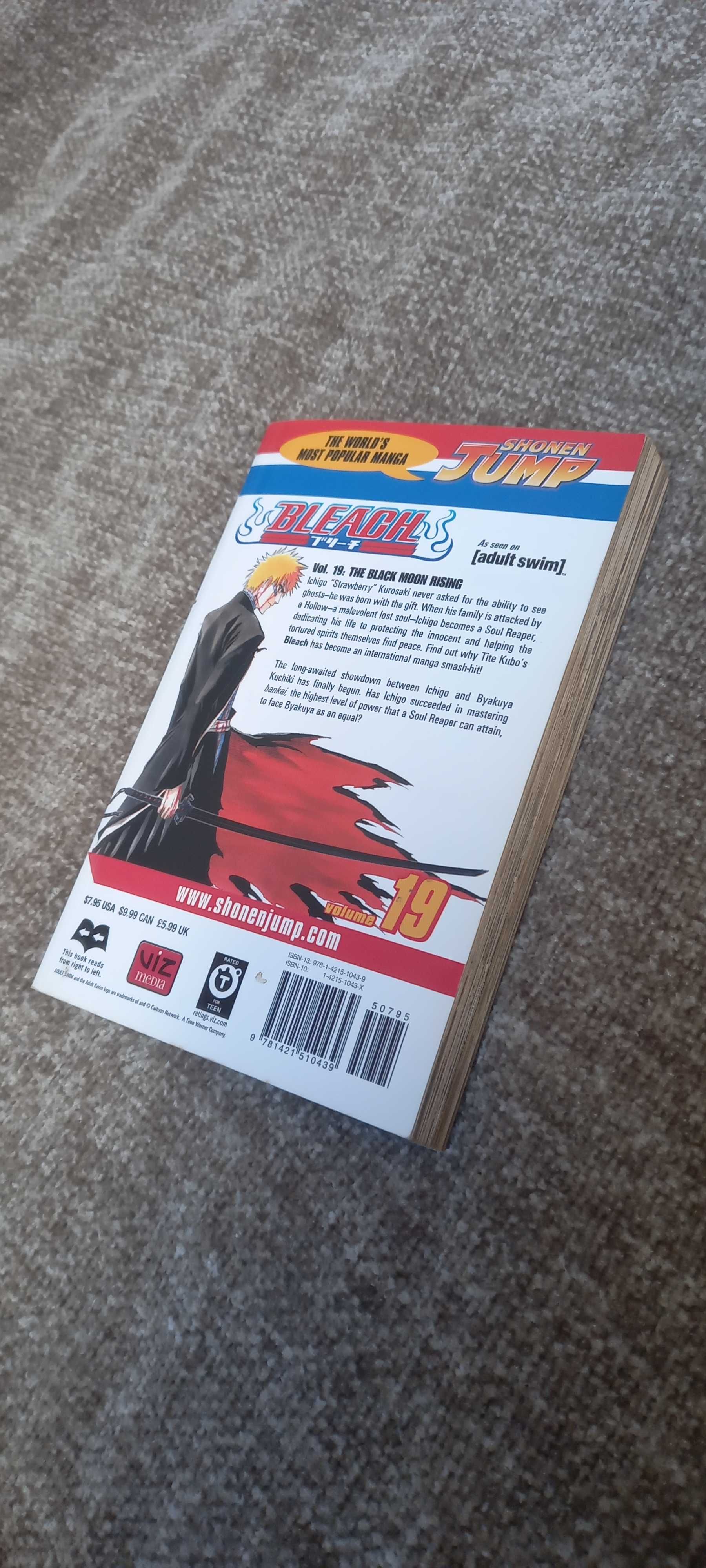 BLEACH Vol.19: The Black Moon Rising