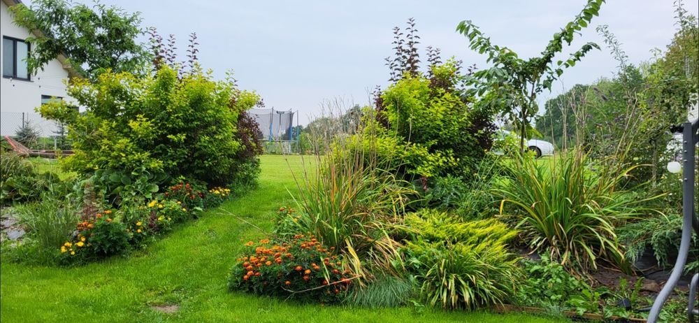 Działka budowlana na mazurach nad jeziorem 1500 m2 służebność w plaży