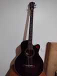 Contra baixo acustico Ibanez