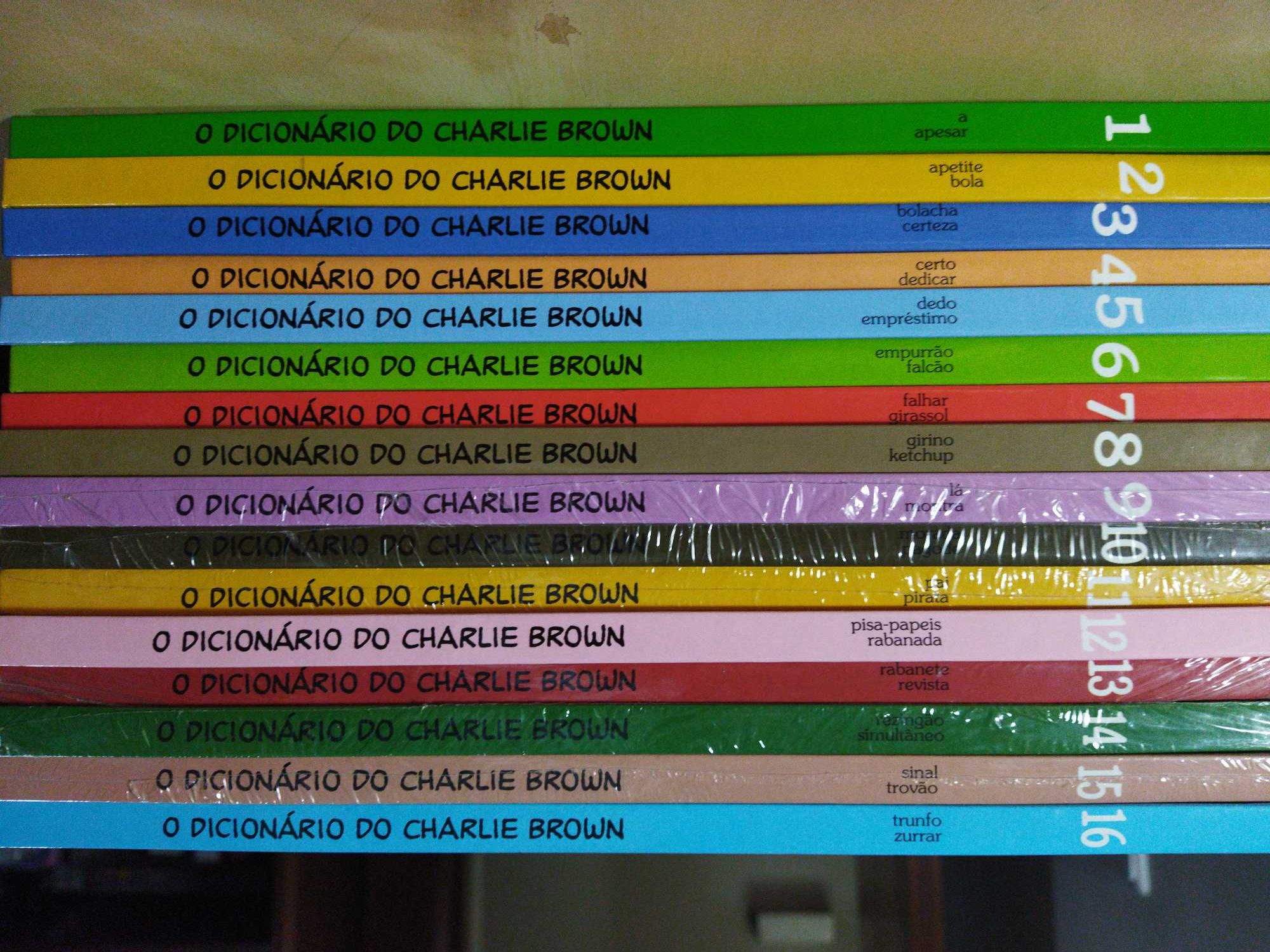 Dicionário infantil-juvenil Charlie brown português/inglês ilustrado