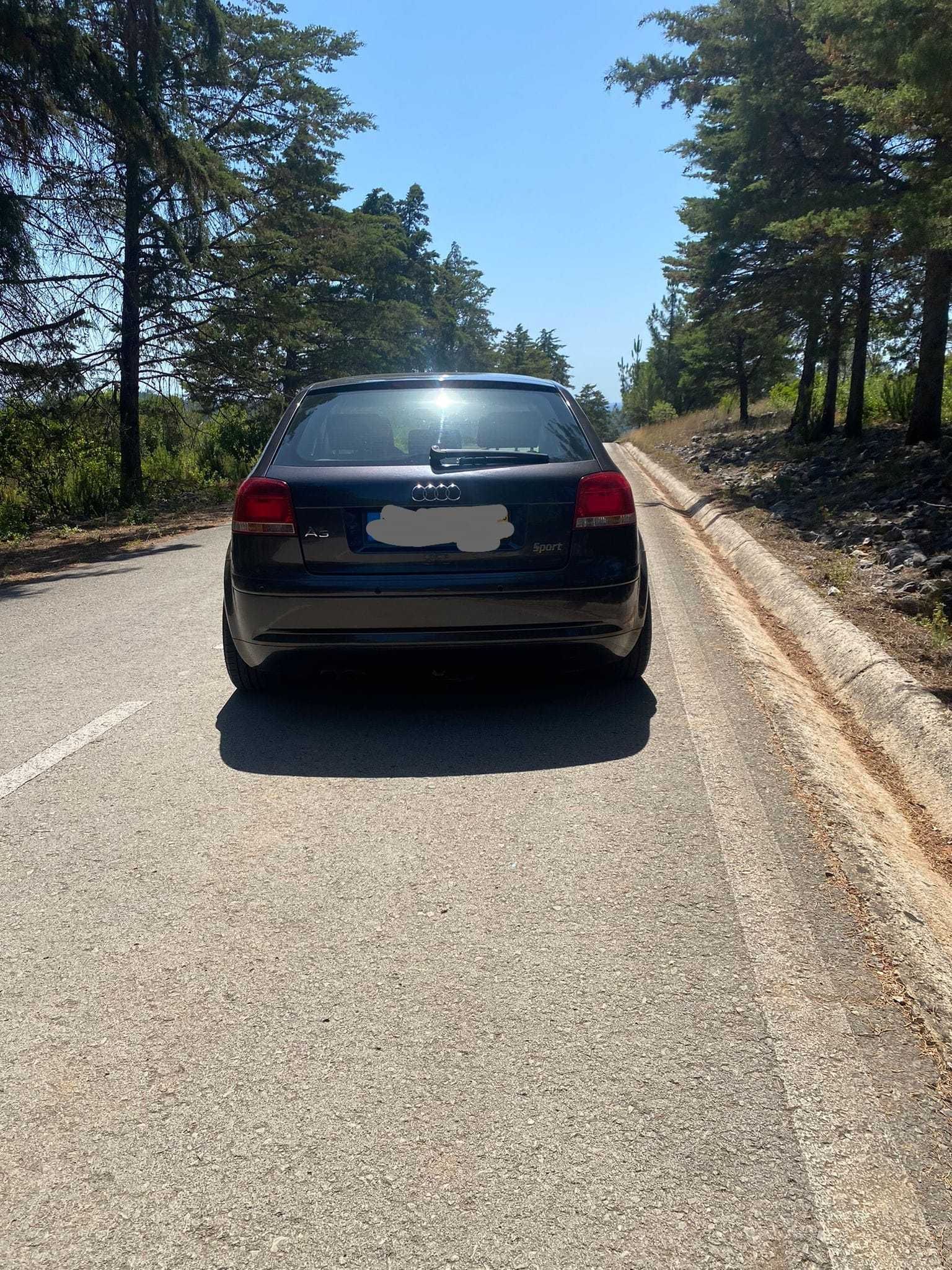 Vendo audi a3 8p