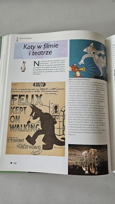 Koty komendium książka