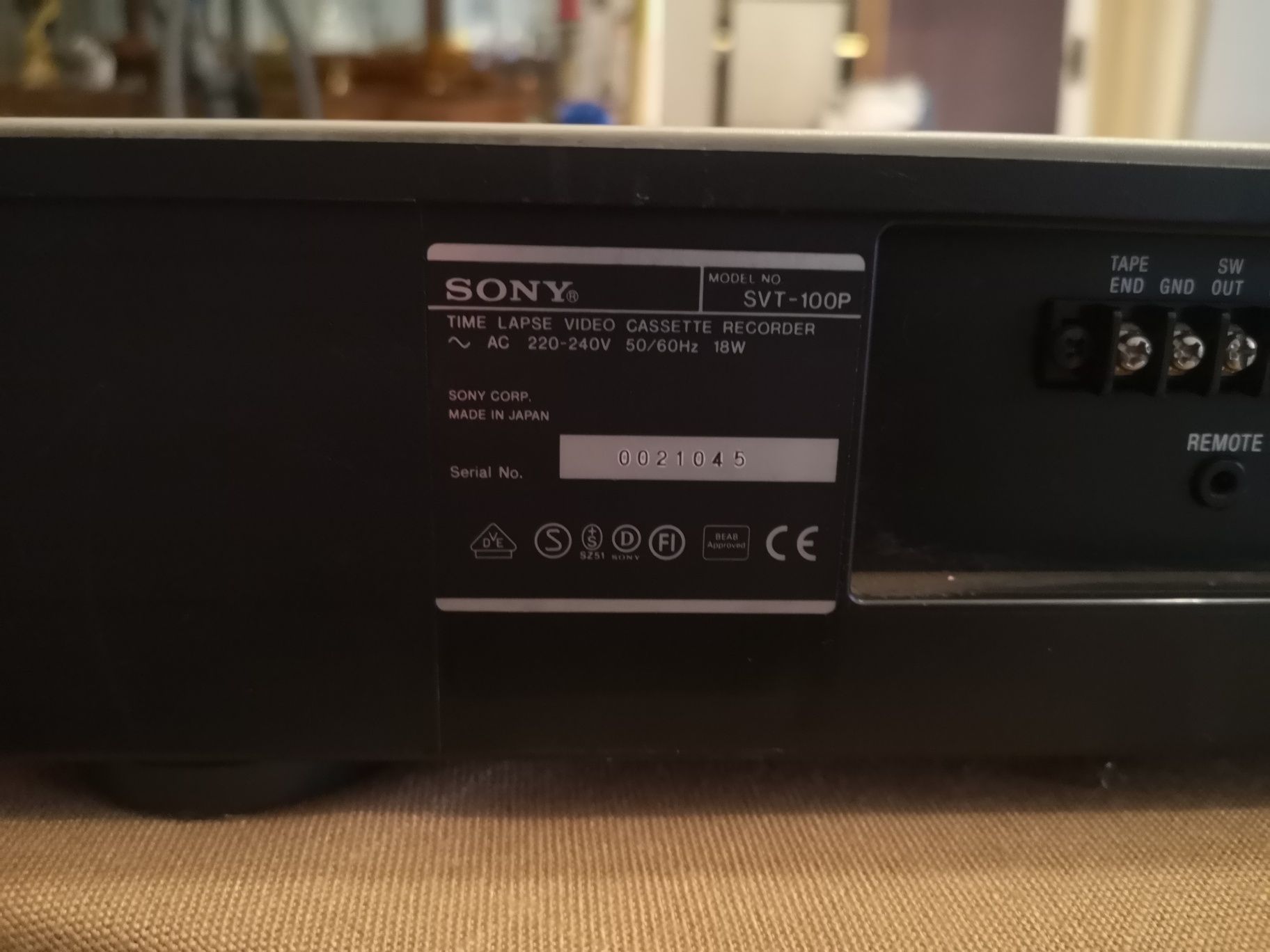 Sony svt 100p Time lapse 24