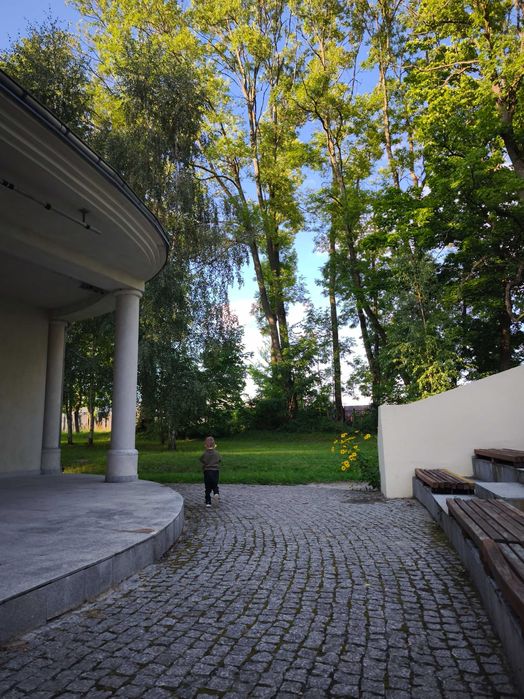 Czarnolas-Kolonia - Działka 2,5 ha na sprzedaż - Bezpośrednio