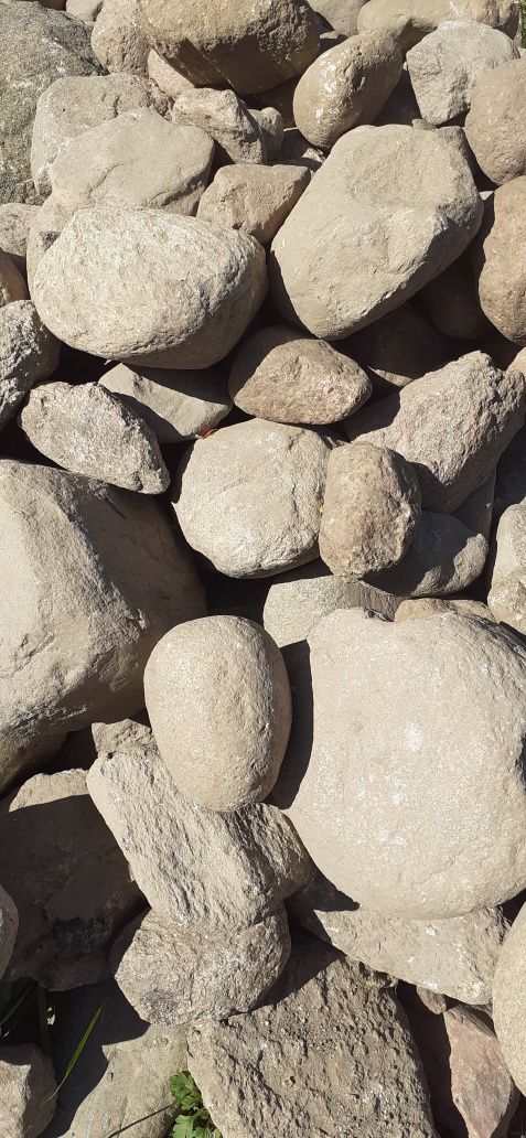 Kamienie polne - sprzedaż
