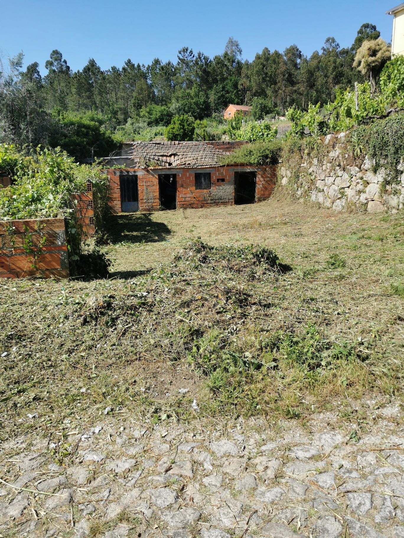 Limpeza de terrenos alguma dúvida ou interesse contactar