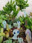 10 Fantasminhas/espíritos que brilham decoração plantas, Suculentas