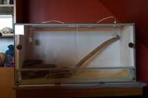 Terrarium 100x40x50