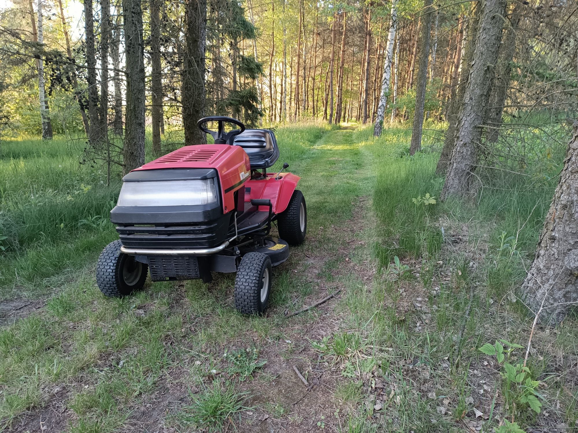 Koszenie trawy trawników wycinka drzew