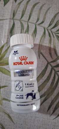 Royal Canin Recovery Liquid 200ml - 1 Butelka