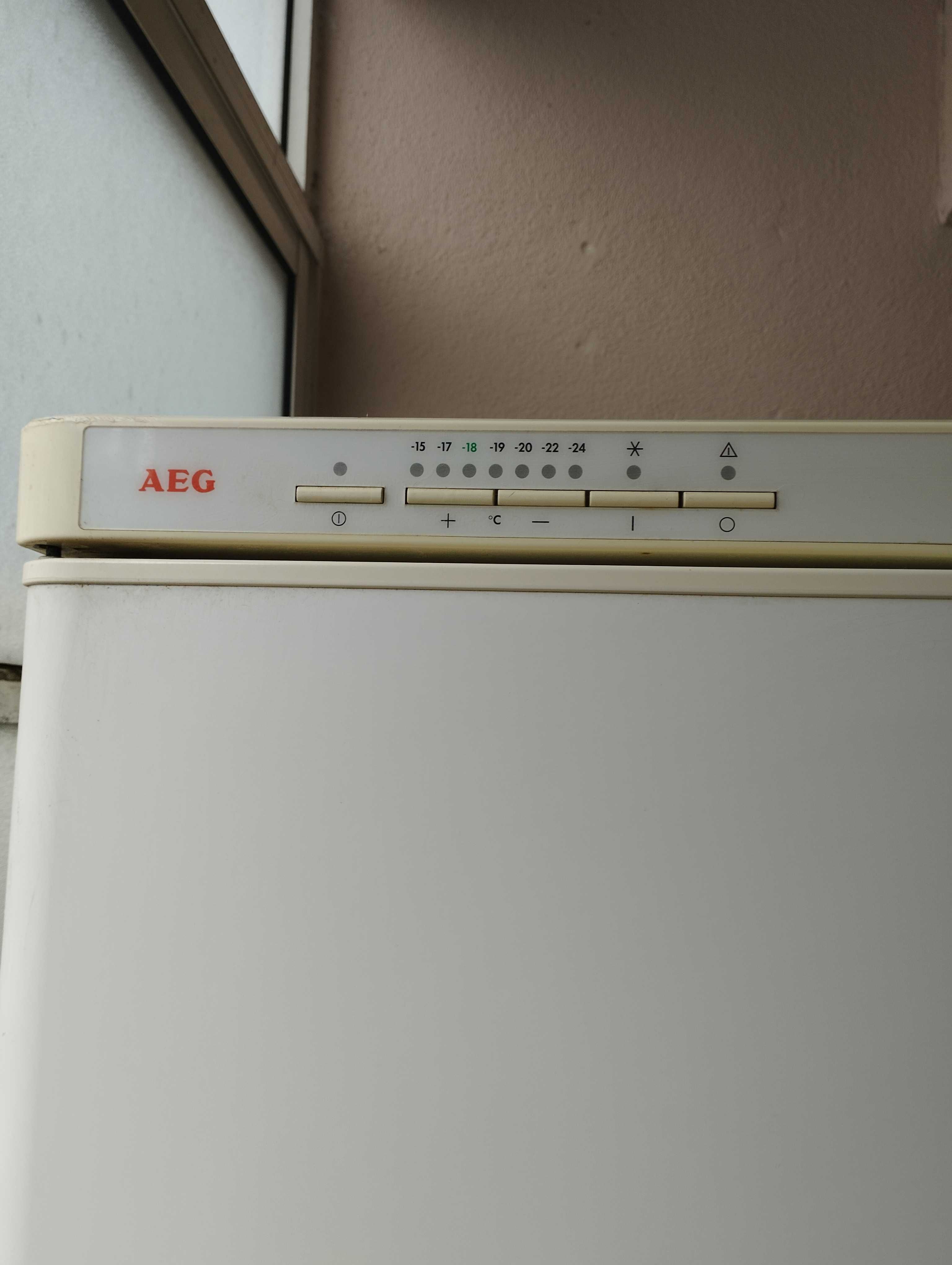 Arca congeladora vertical AEG usada