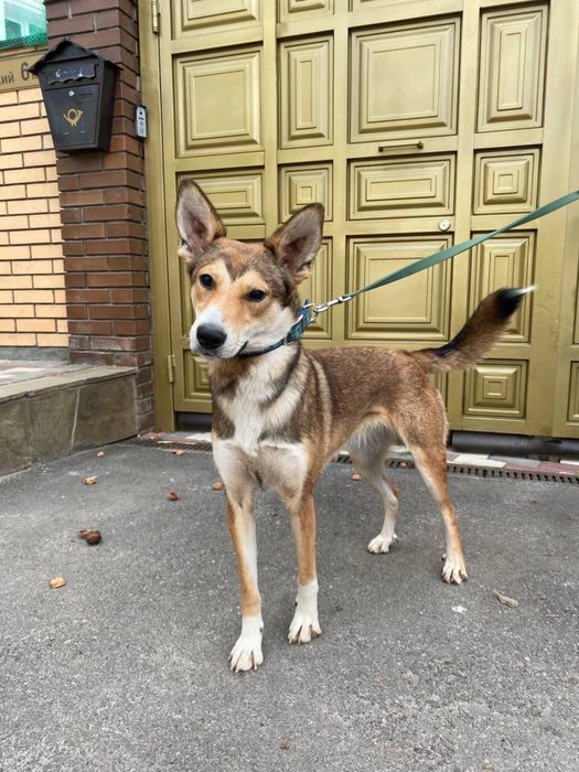 Матуся, де ти? Я так чєкаю на тебе!