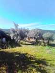 Monte/herdade em pleno parque natural