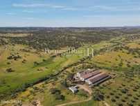 Herdade com 380ha próximo de Castelo Branco