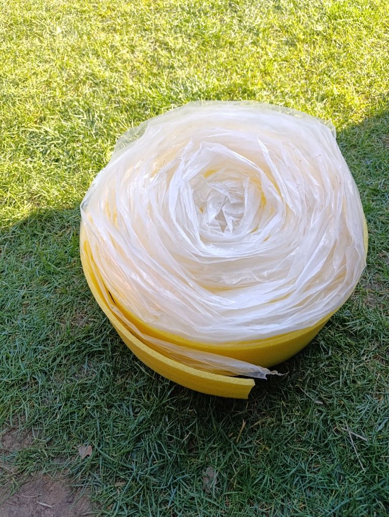 Folia dylatayjna